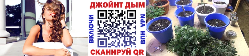 Где найти наркотики Великий Новгород Кокаин Конопля Alpha PVP ГАШ МЕФ